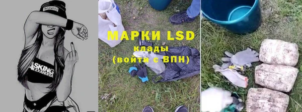 PSILOCYBIN Алексин