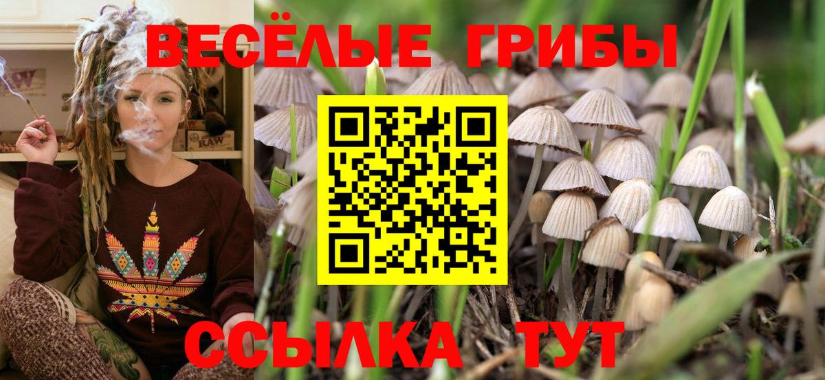 Псилоцибиновые грибы MAGIC MUSHROOMS Канаш