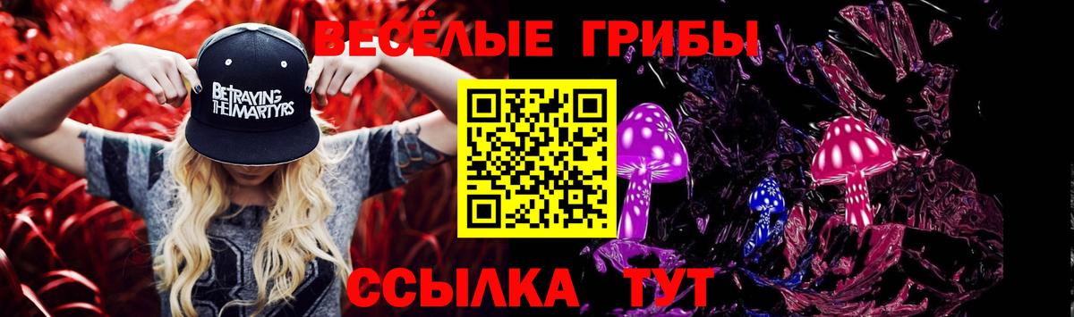 Псилоцибиновые грибы ЛСД  Вход с VPN  Канаш 