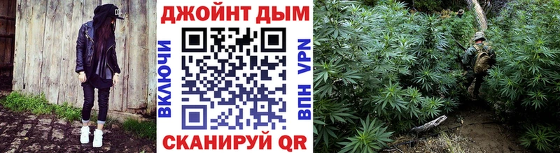 что такое наркотик  блэк спрут как войти  Каннабис гибрид  Канаш 