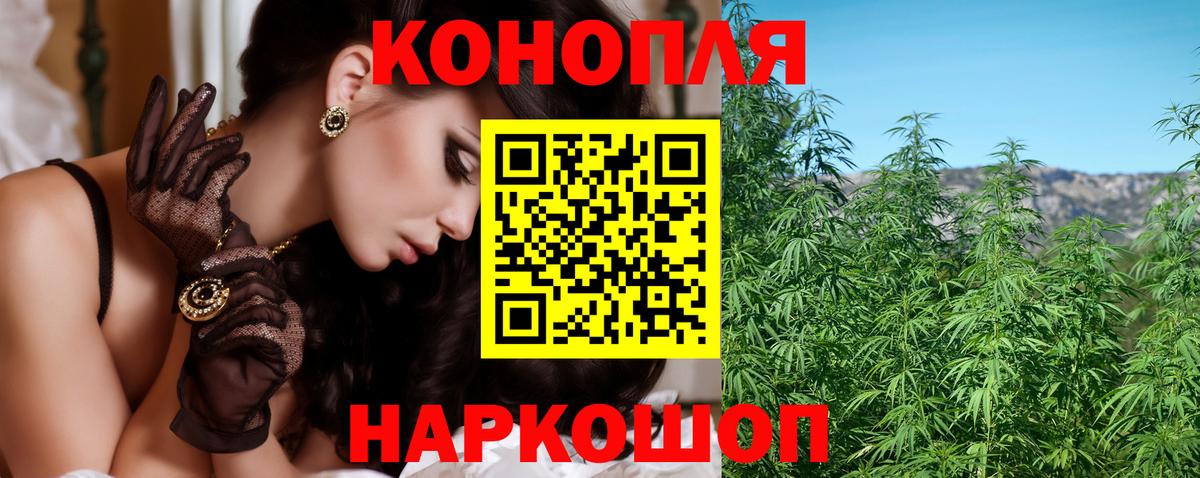Канаш  Бошки Шишки планчик  Бошки Шишки индика  Канабис VHQ  Вход с VPN 